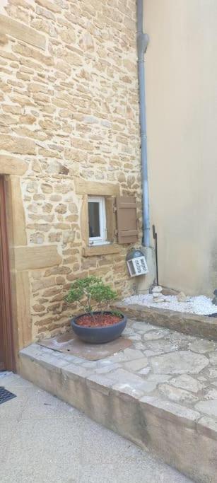 Le Gite Des Pierres Dorees Marcilly-d'Azergues Exterior photo